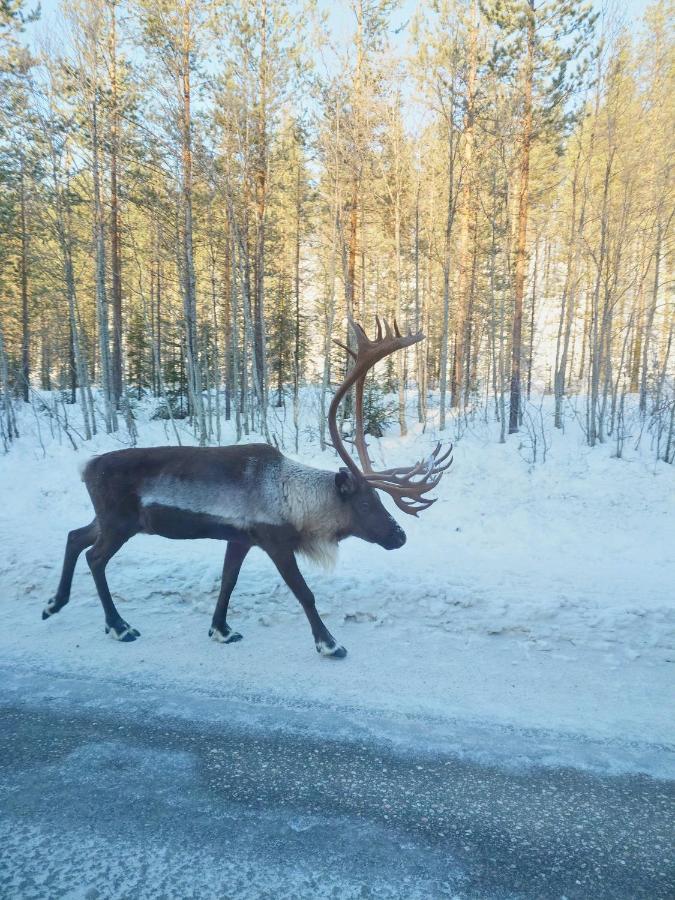 Yllaes Kanerva 105 Äkäslompolo Zewnętrze zdjęcie
